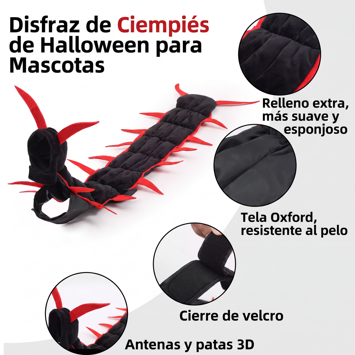 Disfraz de Ciempiés para Gato — Halloween/Día de Muertos