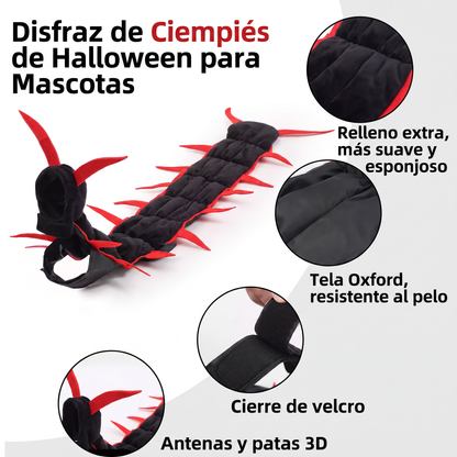 Disfraz de Ciempiés para Gato — Halloween/Día de Muertos